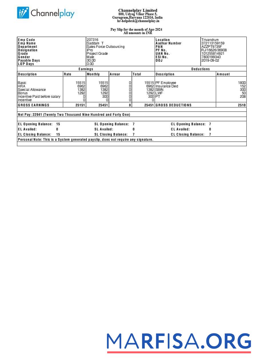 Blank Channelplay payslip example